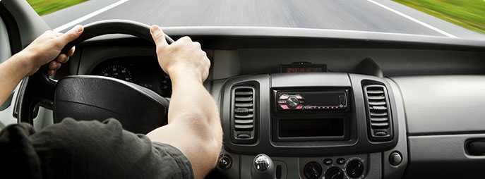 Vehicle Registration & DMV