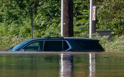 Rains In Louisiana And Florida Flood Used Market With Water Damaged Cars