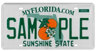 Florida license plate lookup – free vehicle history check