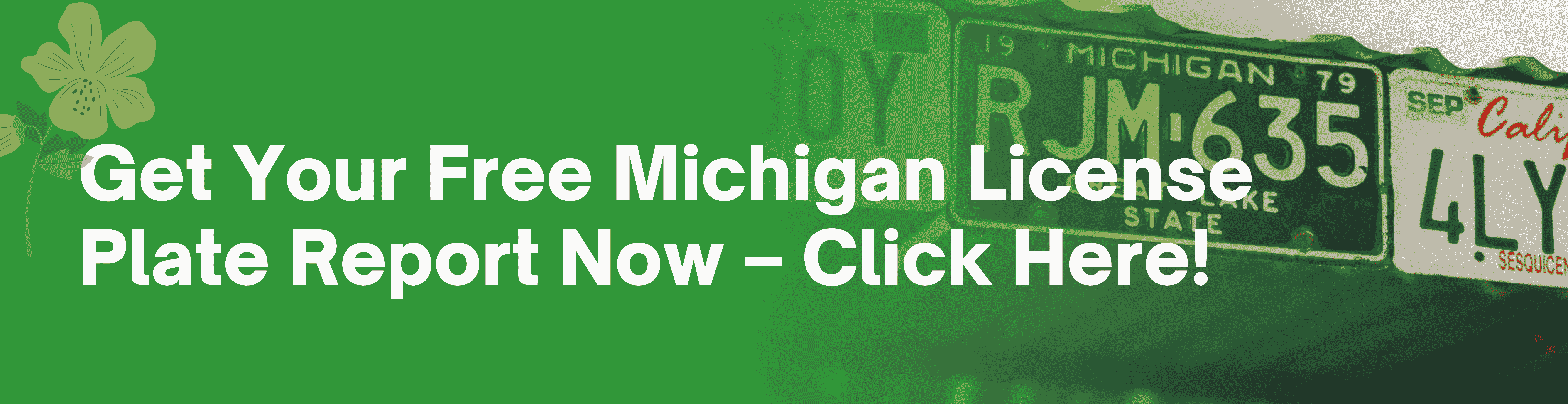 Michigan License Plate Lookup banner